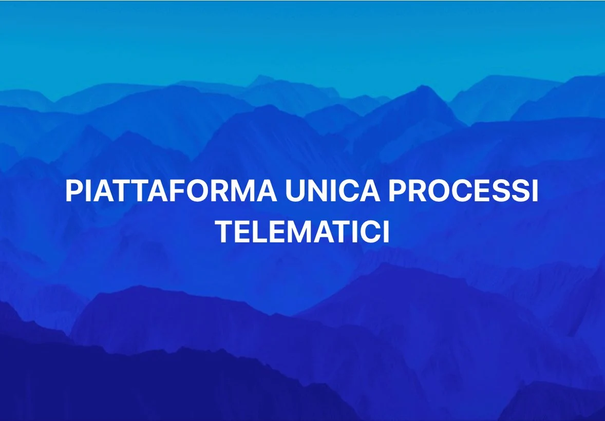 Serve una Piattaforma Unica per i Processi Telematici